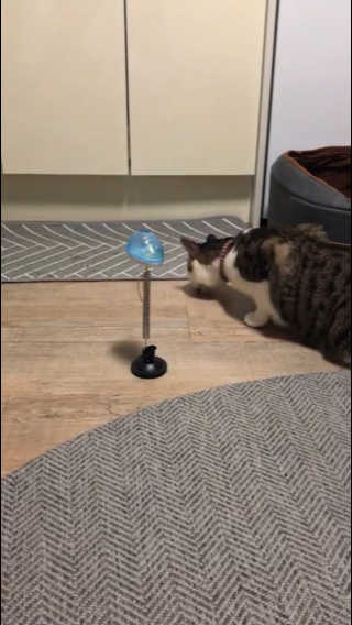 거니건이님이 올린 리뷰 사진 3