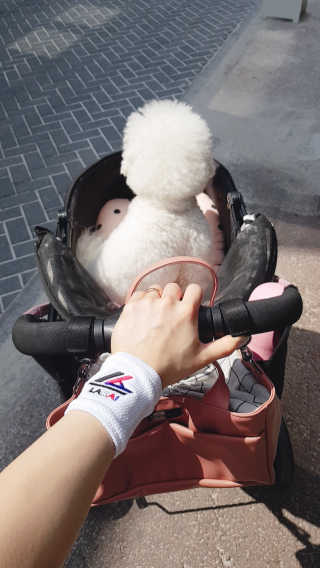 삼숑이맘님이 올린 리뷰 사진 4