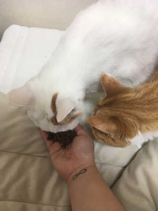 름쨩님이 올린 리뷰 사진 3