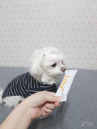 두부님이 올린 리뷰 사진 2