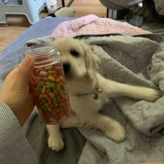 Ghhryh님이 올린 리뷰 사진 2