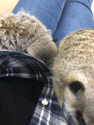 잉뚜잉님이 올린 리뷰 사진 2