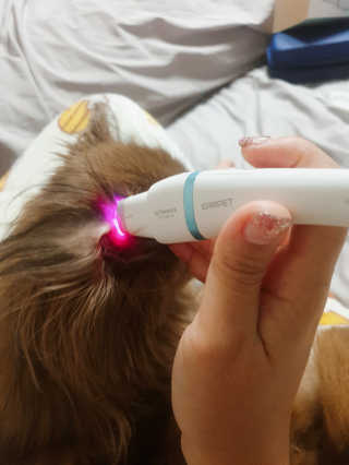 작은곰님이 올린 리뷰 사진 3