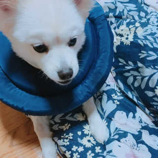 요이알라뷰님이 올린 리뷰 사진 2