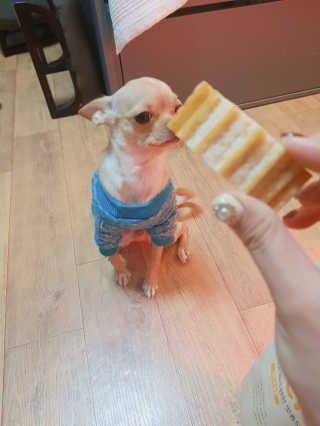 Juava님이 올린 리뷰 사진 3