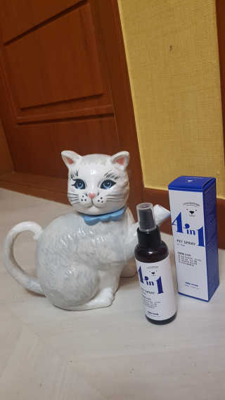 강아지스토리 포인원 모이스처 미스트 100ml — 3점을 준 리뷰어가 2018년 11월 올린 사용 사진