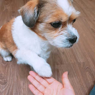 효진님이 올린 리뷰 사진 2