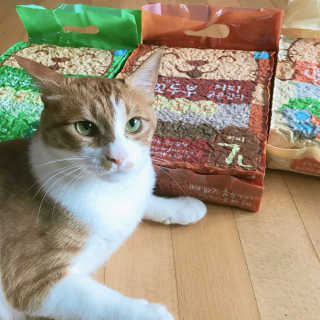 ENJO님이 올린 리뷰 사진 2
