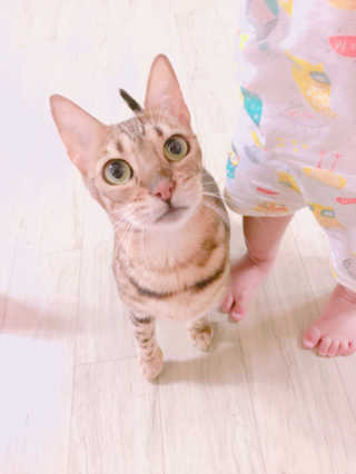 유솔님이 올린 리뷰 사진 2