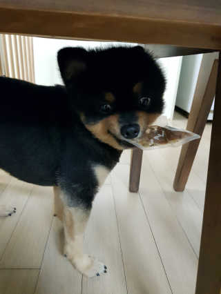 뿌빵단짠이네님이 올린 리뷰 사진 3