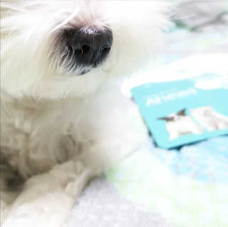 alllove님이 올린 리뷰 사진 4