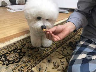 SejinJuneKang님이 올린 리뷰 사진 2