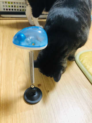 미소엔젤님이 올린 리뷰 사진 3