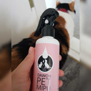 코코민네님이 올린 리뷰 사진 3