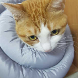 sooosoo님이 올린 리뷰 사진 1