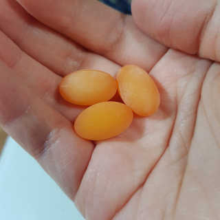 소세연님이 올린 리뷰 사진 3