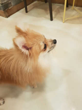 히야님이 올린 리뷰 사진 3
