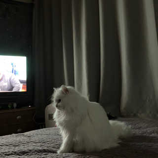 례진님이 올린 리뷰 사진 2