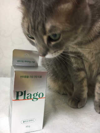타마마이등병님이 올린 리뷰 사진 1