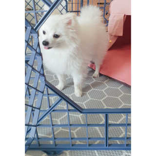 심쿵해에님이 올린 리뷰 사진 2
