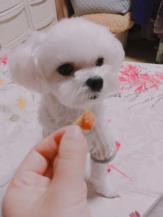 도담님이 올린 리뷰 사진 2