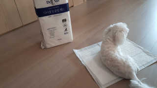 plmqaz_ioi님이 올린 리뷰 사진 3