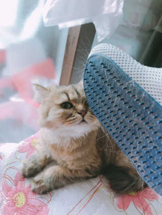 하린님이 올린 리뷰 사진 1