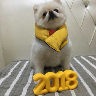 dodo님이 올린 리뷰 사진 3