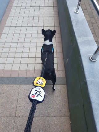 후니후니님이 올린 리뷰 사진 1