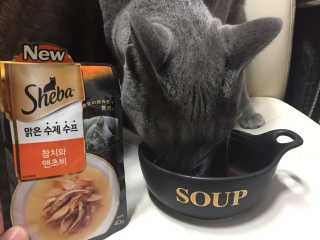 정쏘님이 올린 리뷰 사진 1