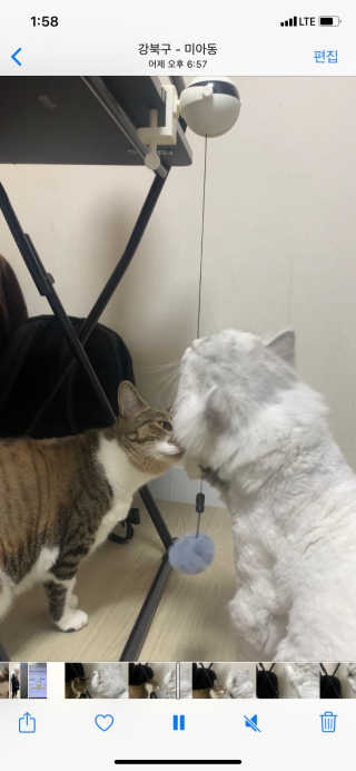 강혤님이 올린 리뷰 사진 3