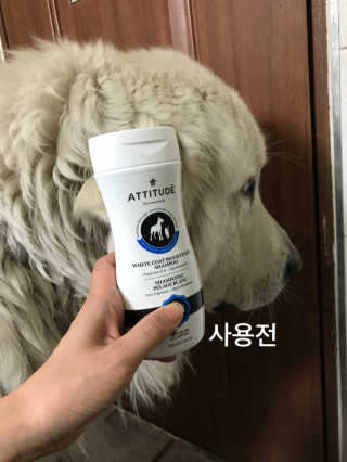 조언니님이 올린 리뷰 사진 2