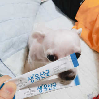 [빙그레] 에버그로 생유산균 1봉（10포입）+펫밀크2팩 — 4점을 준 리뷰어가 2019년 5월 올린 사용 사진