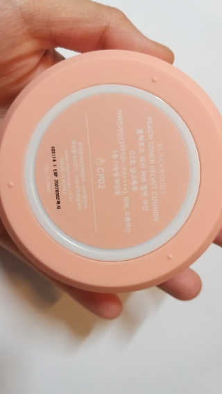 [블랙루즈] 피치 커버 벨벳 쿠션 2종 중 택1 — 5점을 준 리뷰어가 2019년 10월 올린 사용 사진