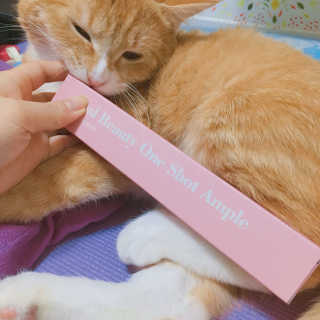 최효정님이 올린 리뷰 사진 2