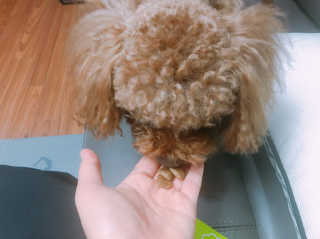 이람람님이 올린 리뷰 사진 2