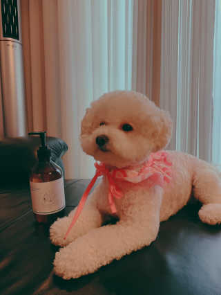 소유띠님이 올린 리뷰 사진 2