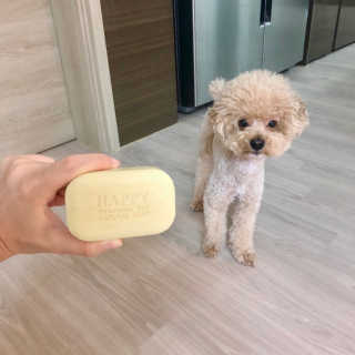 현또네님이 올린 리뷰 사진 4