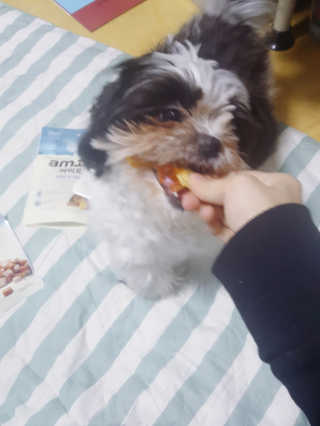 가횽님이 올린 리뷰 사진 3