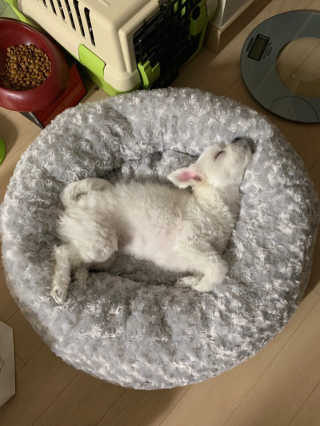 무야호님이 올린 리뷰 사진 1