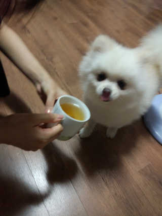 오병재님이 올린 리뷰 사진 1