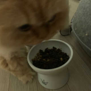 짱아님이 올린 리뷰 사진 3