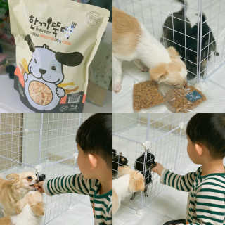 호진이맘♡님이 올린 리뷰 사진 1