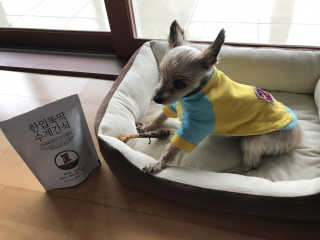 [펫토리아] 한입뚝딱 강아지 수제간식 BEST 5종 — 3.5점을 준 리뷰어가 2019년 2월 올린 사용 사진