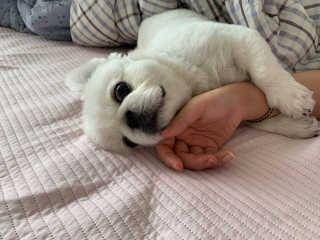박리뷰왕님이 올린 리뷰 사진 3