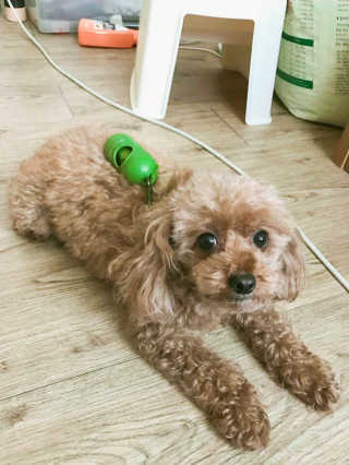 강혠님이 올린 리뷰 사진 1