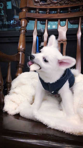 루이님이 올린 리뷰 사진 3