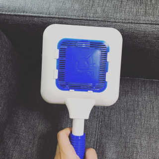 에이블루 신개념 위생 파리채 캐치에프 — 2.67점을 준 리뷰어가 2018년 6월 올린 사용 사진