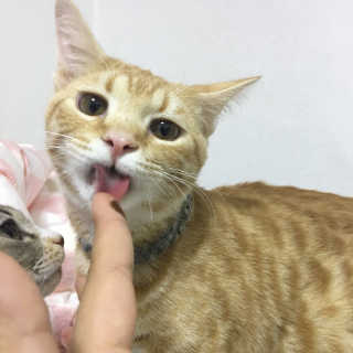 이아님이 올린 리뷰 사진 2