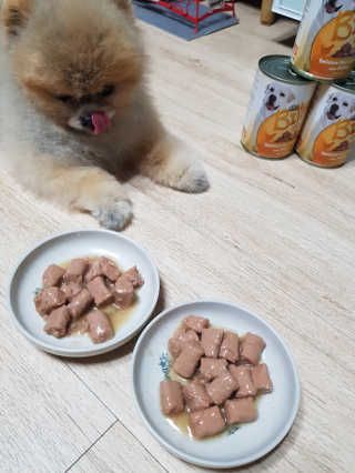 이엘리사님이 올린 리뷰 사진 4